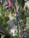 Image 2 of 4