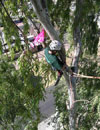 Image 3 of 4