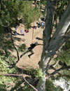 Image 4 of 4