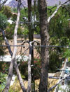 Image 4 of 19