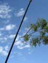 Image 5 of 19