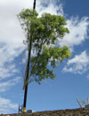 Image 6 of 19