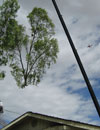 Image 7 of 19