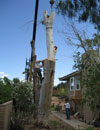 Image 8 of 19