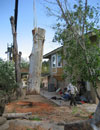 Image 9 of 19