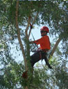 Image 14 of 19
