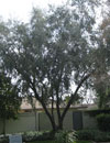 Image 17 of 19