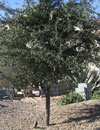 Image 19 of 19