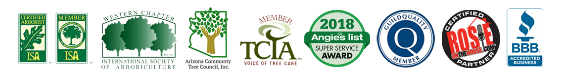 Tree Amigos Certifications and Affiliations