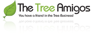 The Tree Amigos - Top-Rated Tree Service Company