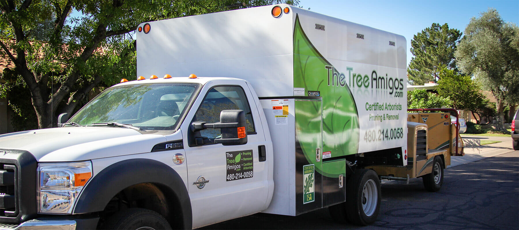 treeamigostruck The Tree Amigos